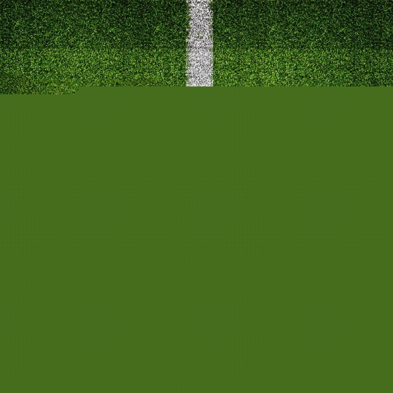 这些条件 这些条件